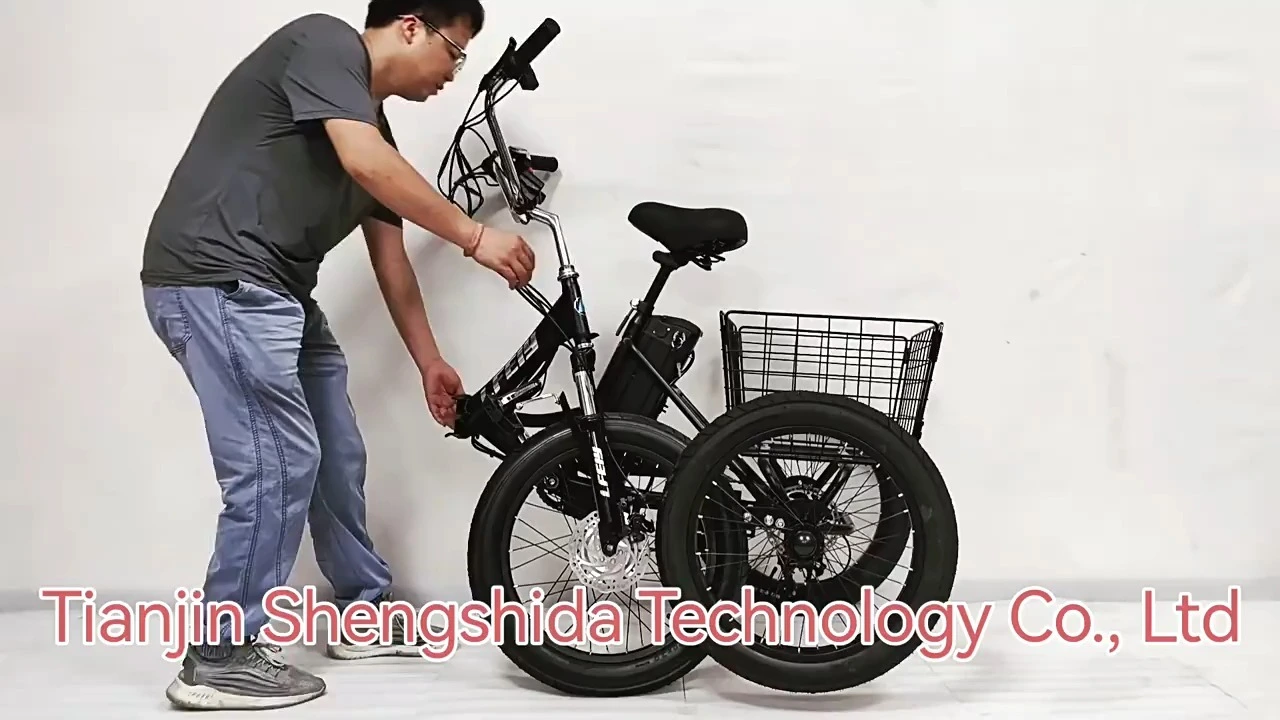 48V 750W Trikes elétricos para adultos - bicicletas de entrega de carga de três rodas 1