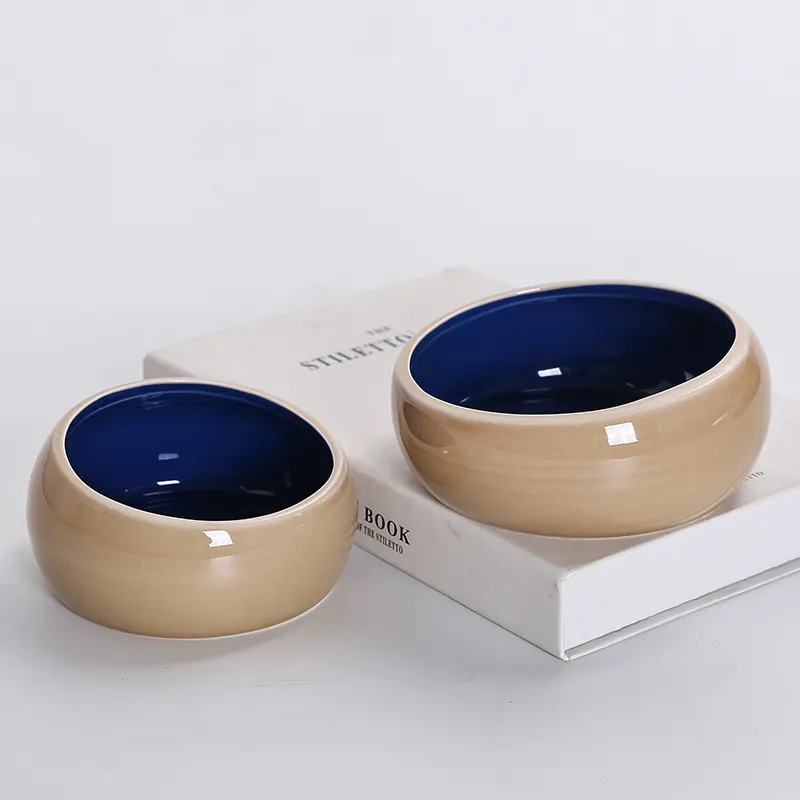 Products Raised Ceramic Cat Bowl on Sale 4