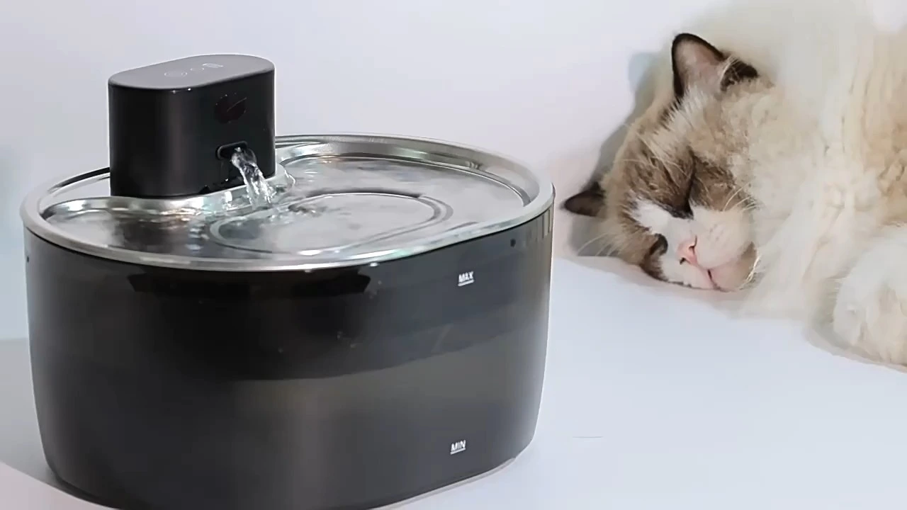 3.2 Litter capacity automatic pet water fountain robot feeder 1