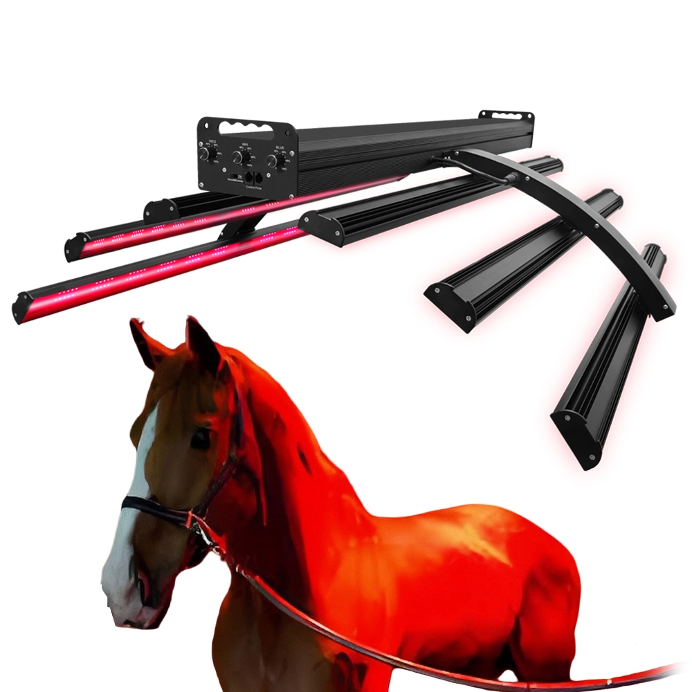 Equine Red Light Therapy Bar System – Full Spectrum LED Light for Horse Recovery
