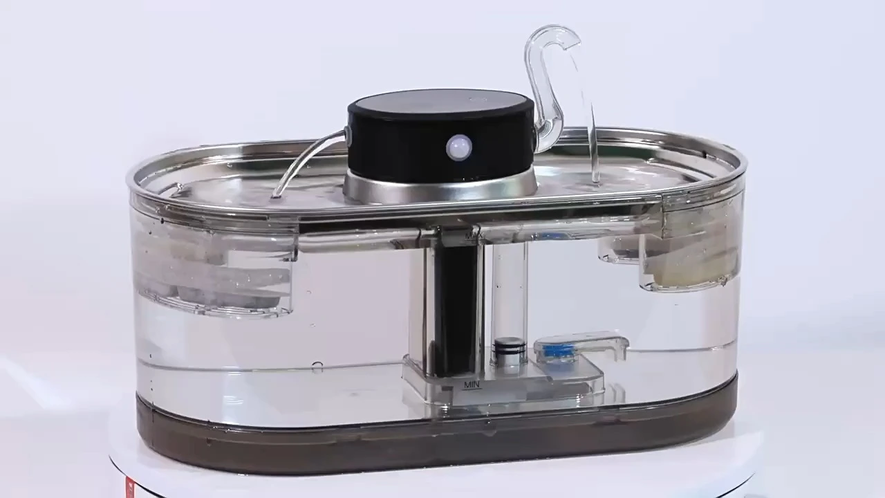 Cordless transparent pet water fountain 1