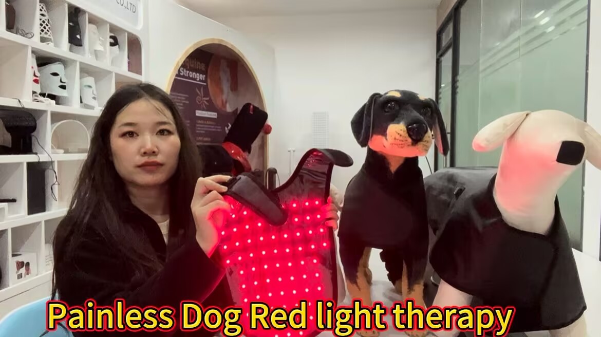 Red Light Therapy Dog Belt