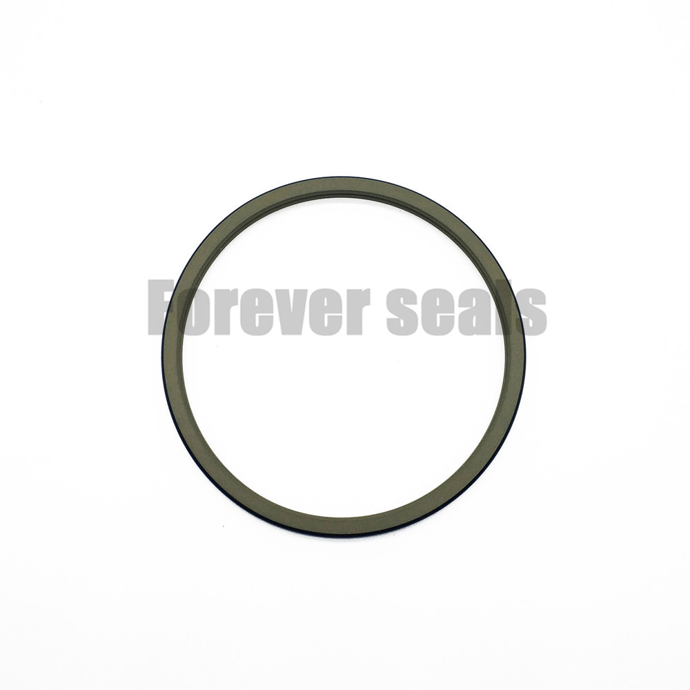 High-Performance GSZ2 Thin Composite Dust Seal 1