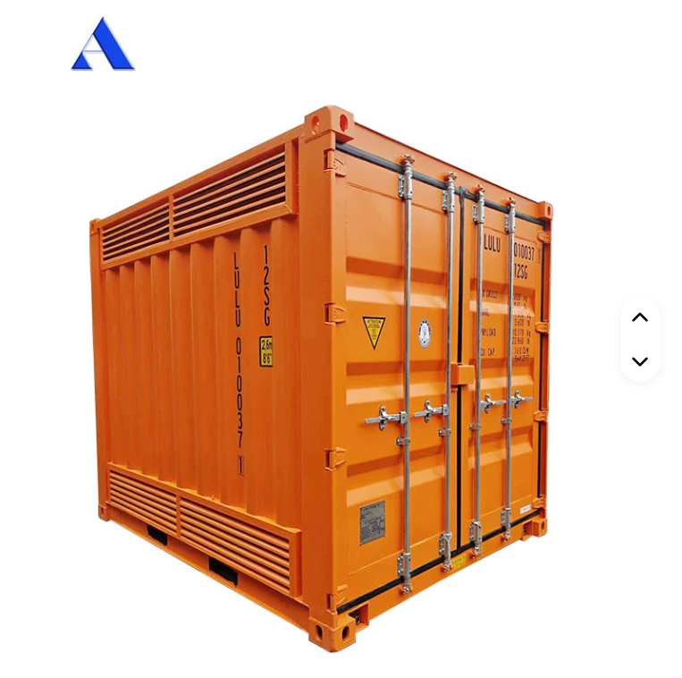 10ft 10 Feet Dangerous Goods Cargo Shipping Containers Open Side DG Chemical Hazardous Storage Container 1