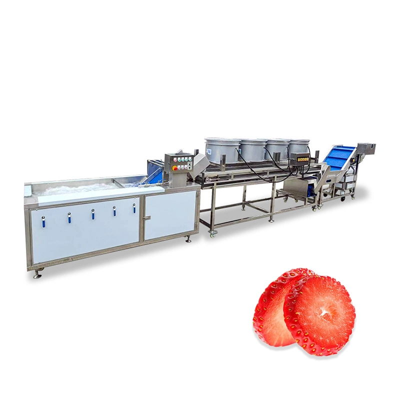 Strawberry Washing&Slicing Line  Customizable  Solution 1