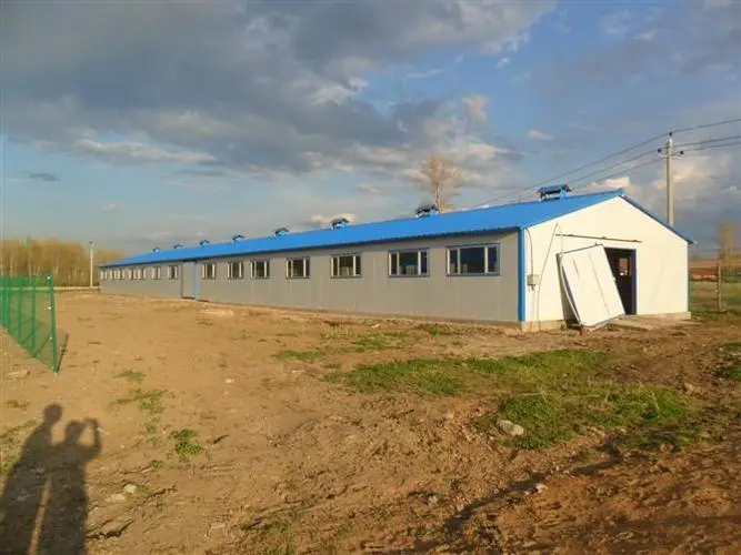Factory Directly Wholesale Prefabricated Steel Structure Logistics Warehouse 1