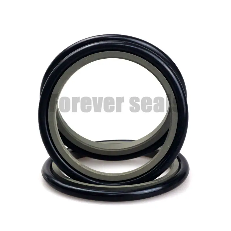 Rod Seal Types by FOREVER SEALS 2