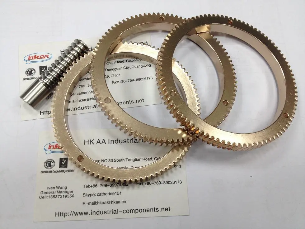 Custom Brass Worm and Worm Gear Set | Precision CNC Machined Transmission Parts 1