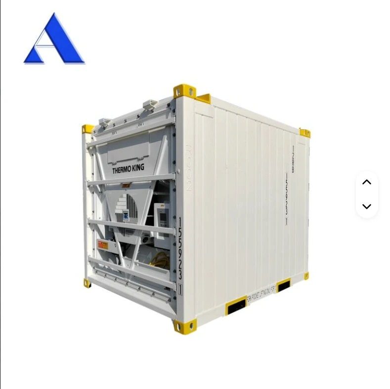 10' ISO 10855 and DNV 2.7-1 Standard 10ft 10 Foot Offshore Refrigerated Reefer Thermo King Brand Container 1