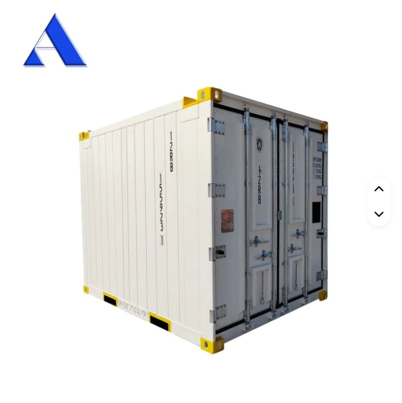 DNV2.7-1 y EN12079 Estándar de 10 pies 10 'REEFER OFFSHORE CON CORMER TRMOING 1