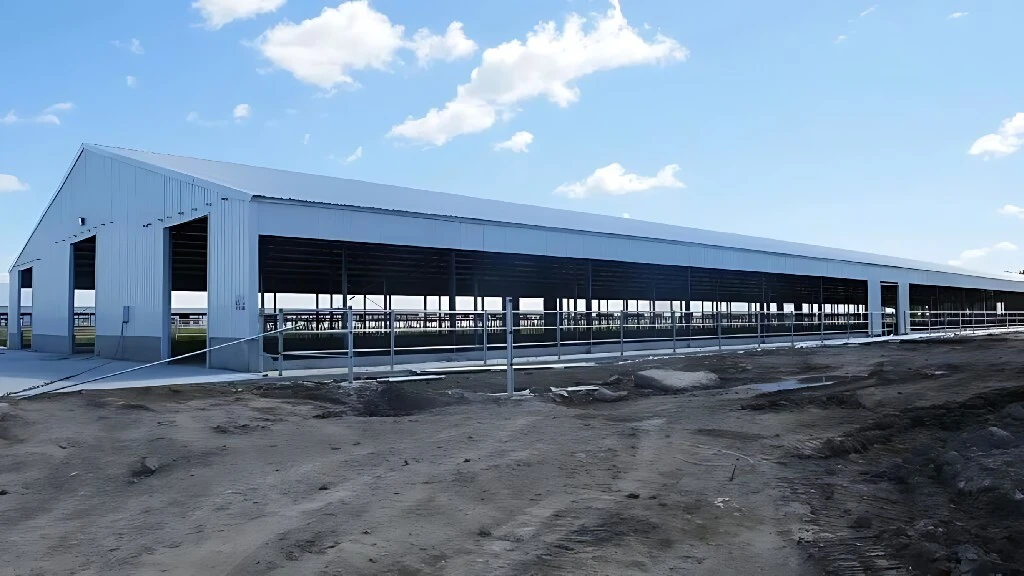 Steel Structure Farming House For Cow Cattle Goat Sheep 1