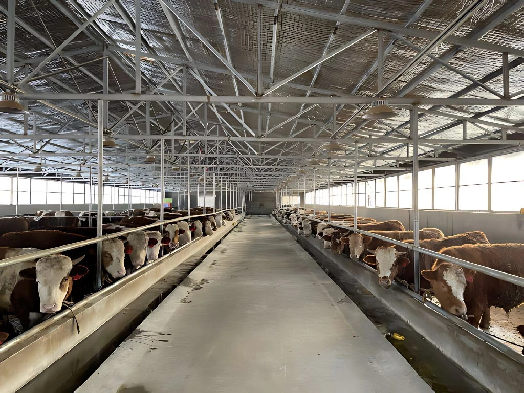 Eco-friendly Steel Structure Farming Shed 1