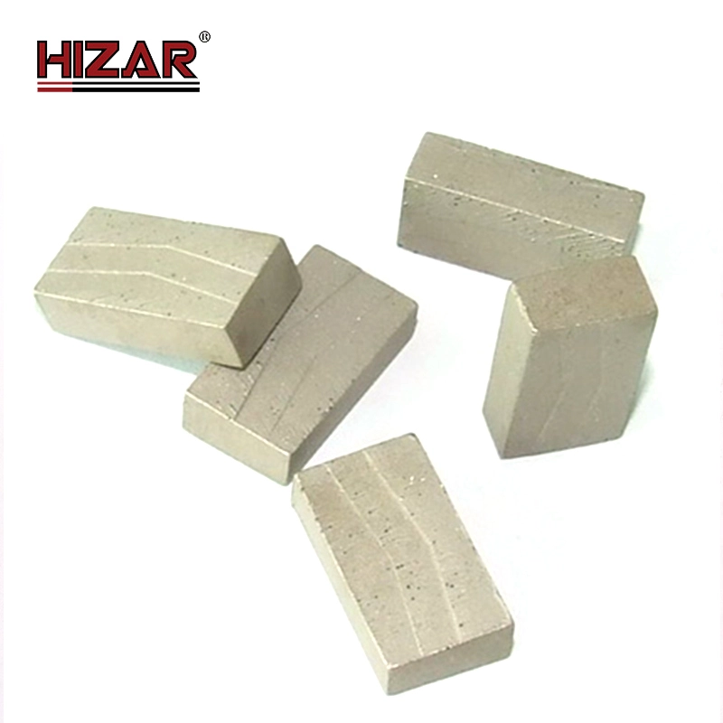 HSGM Multi Blade & Segment 1