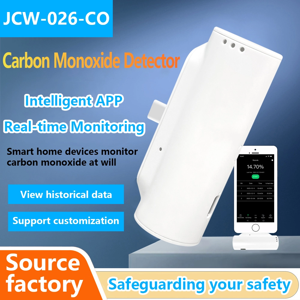 Portable Carbon Monoxide Detector for Real-time Monitoring with High-precision Sensors 1