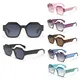 Sunglasses Manufacturers Suppliers by Eugenia Eyewear 1