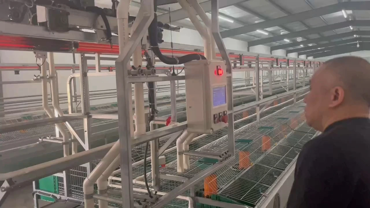 Cage automatisée pour lapins destinée à l'élevage, avec système d'alimentation et de nettoyage 1