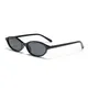 Eugenia Eyewear Wholesale Unisex Sunglasses Ningbo Wholesale Unisex Sunglasses China Supplier 3