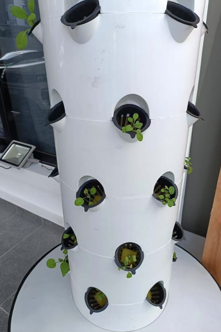 1755053051314-vertical-