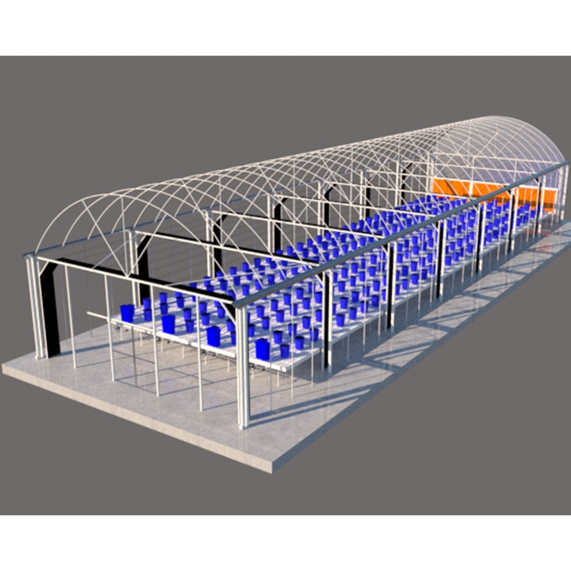 Cost Price Large Size High Tunnel Agricultural Greenhouse for Tomato GrowingCost Price Large Size High Tunnel Agricultural Greenhouse for Tomato Growing 1