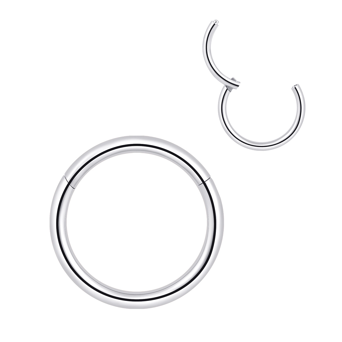 Eternal Metal Nose Segment Ring – ASTM F136 Titanium Body Piercing Jewelry 1