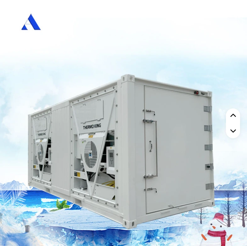 Precision Temperature Control & High Efficiency 20ft Blast Freezer Refrigerated Reefer Container with Dual Cooling Units 1