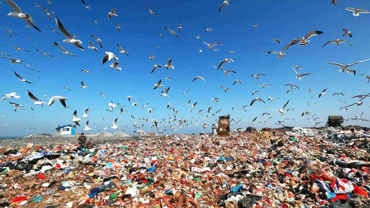 인도, 세계 최대 플라스틱 오염원 | Kitech, image size:1200x675