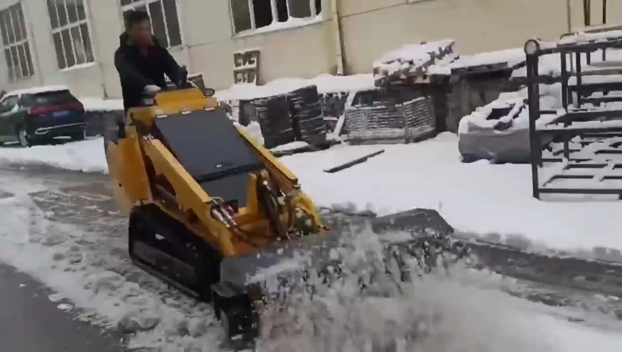 Small Stand-On Skid-Steer Loader  With Petrol Engine For Home Use 1