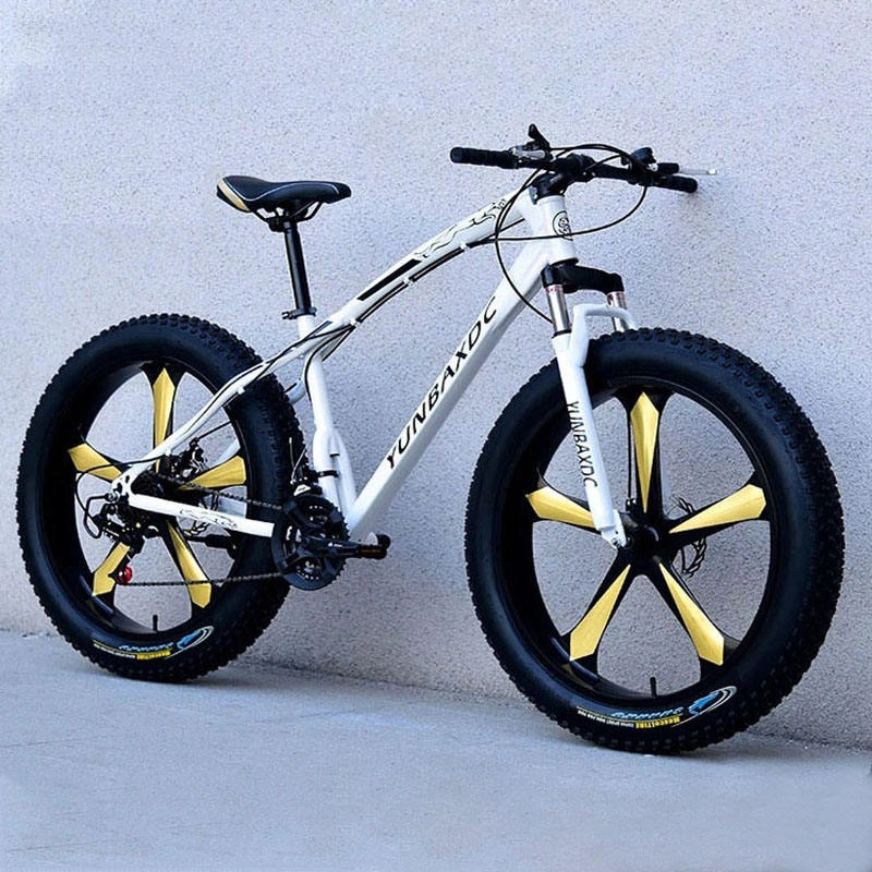 Cheap Price 21 Speed Fat Tire Sport Downhill Male Mountain Bike 20 26 29 Inch Adults Beach Bicicletas Men Snow Bicycles 1