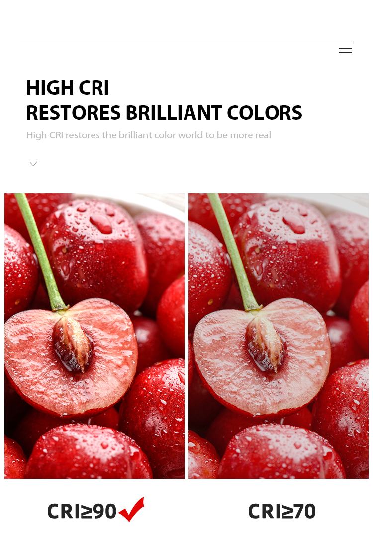 Bi-Color Dual Color Smd Led Chip 1919 18w 24w 25w 30w Led Diode Bi Color for 12V 24V High Power Chip Beads 3