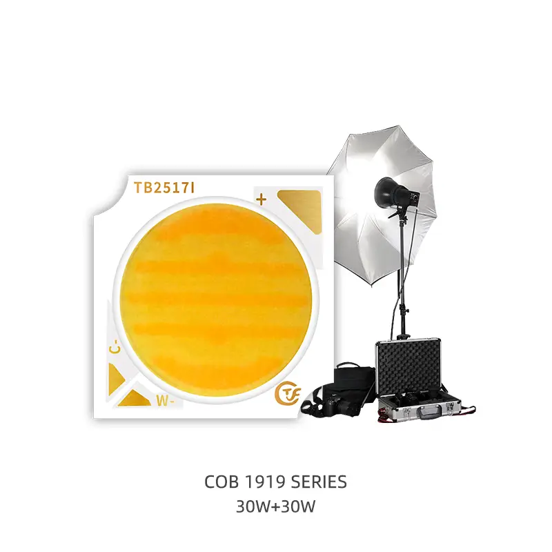 Bi-Color Dual Color Smd Led Chip 1919 18w 24w 25w 30w Led Diode Bi Color for 12V 24V High Power Chip Beads 1