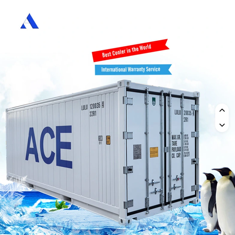 Stainless Steel Liner Aluminum T Floor 20 ft Length Thermo King Refrigerated Freezer 20ft Reefer Container 20 Feet for Sale 1