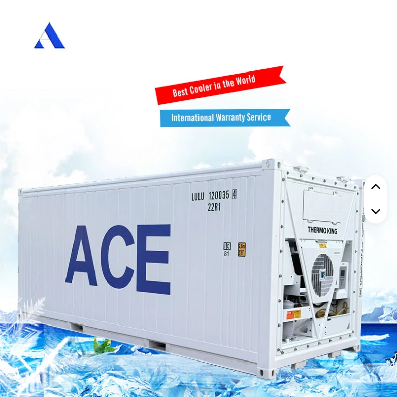 US Brand Thermo King Refrigerated Cooler 20ft 6 Meter Length Freezer 20ft Reefer Container Cold Storage for Sale 1