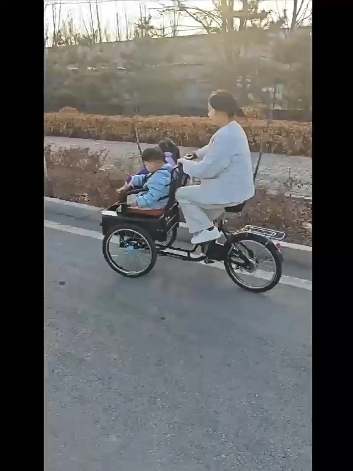 20-Inch Adult Pedal Tricycle Carrying People or Goods Upside Down Tricycle Good Quality Convenient Tricycle 1