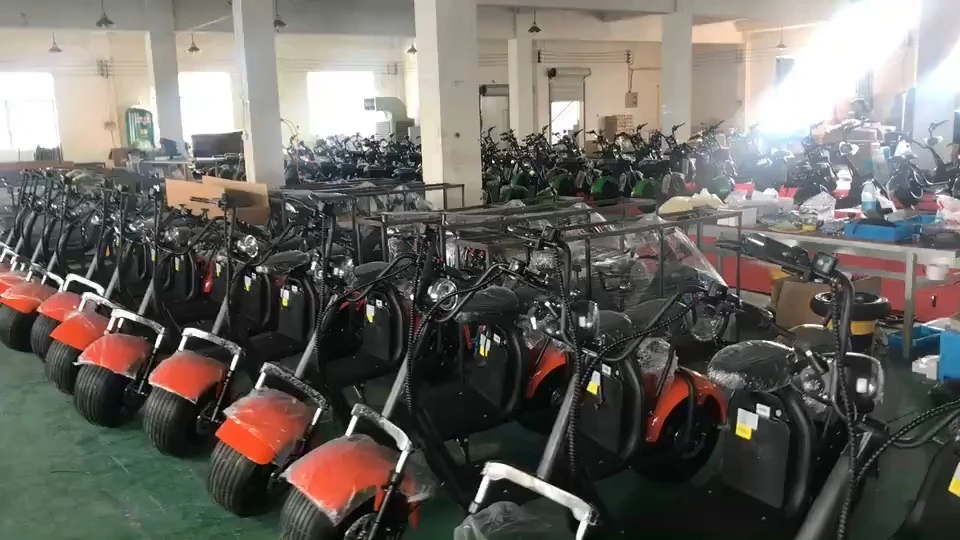 Cheap Price EEC COC Citycoco Eu Warehouse Fat Tire Adult Scooter Electric Citycoco 3000W Electric Scooters With Battery 1