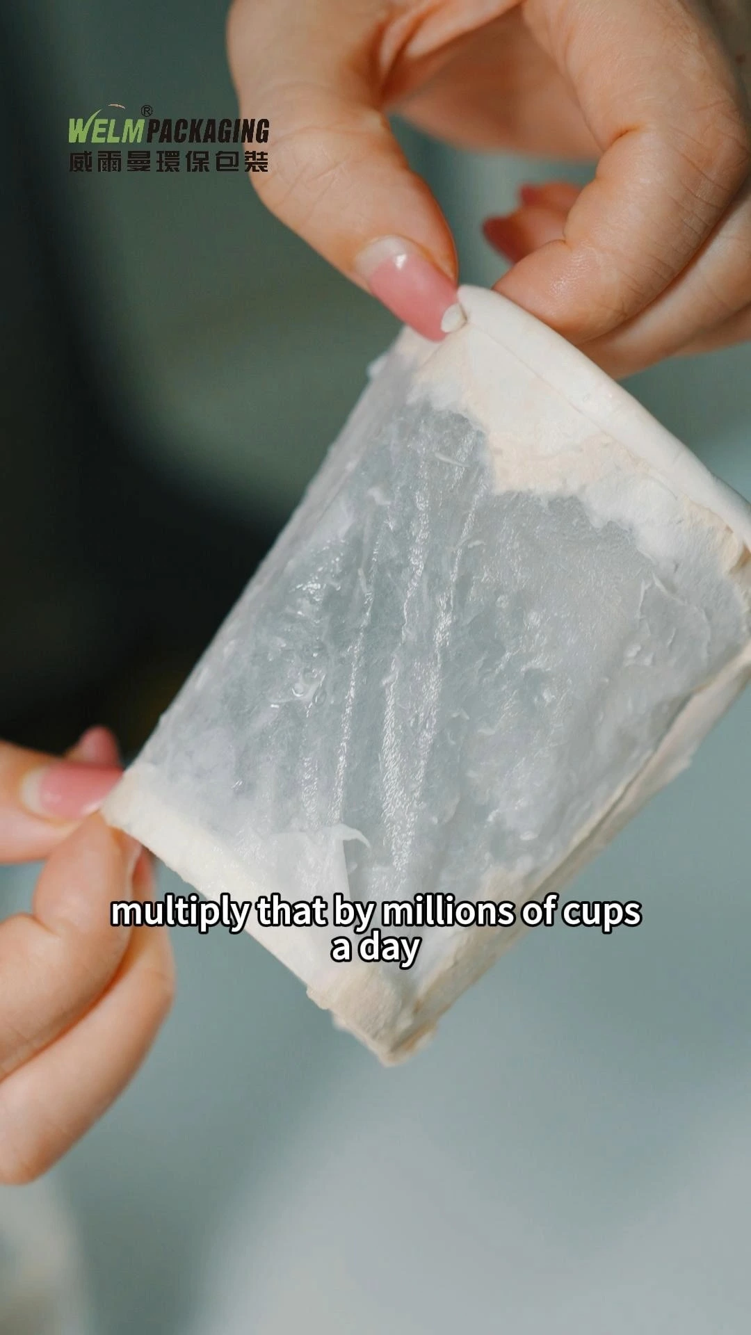 Welm hot drink paper cup coffee milk eco-friendly customized double-layer non plastic water-based coating cup 1