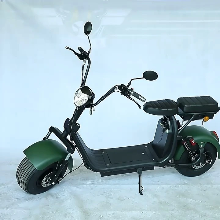 For Harley Style Electric Bicycle Skateboard for Adults Double Seat with Wide Tire 60V Motor Power 12AH Battery 200kg Load 1