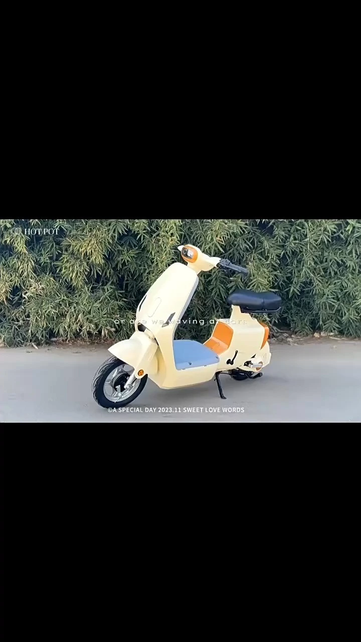 Color 48v Electric Bike.Sedan Intelligent Power Design 500W Electric Bike Absorbing Comfortable Electric Scooter 1