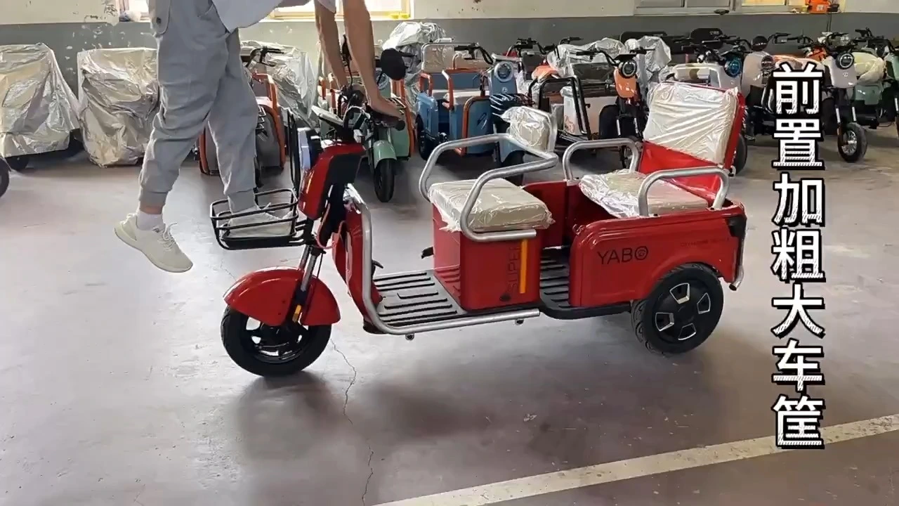 Factory Direct 48V 600W Electric Pedicab New Steel Tricycle for Passengers & Cargo Dual-Use Shuttle for Children & Elderly 1