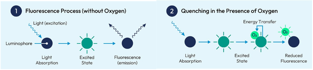 What Are the Different Types of Water Dissolved Oxygen Sensors? 2