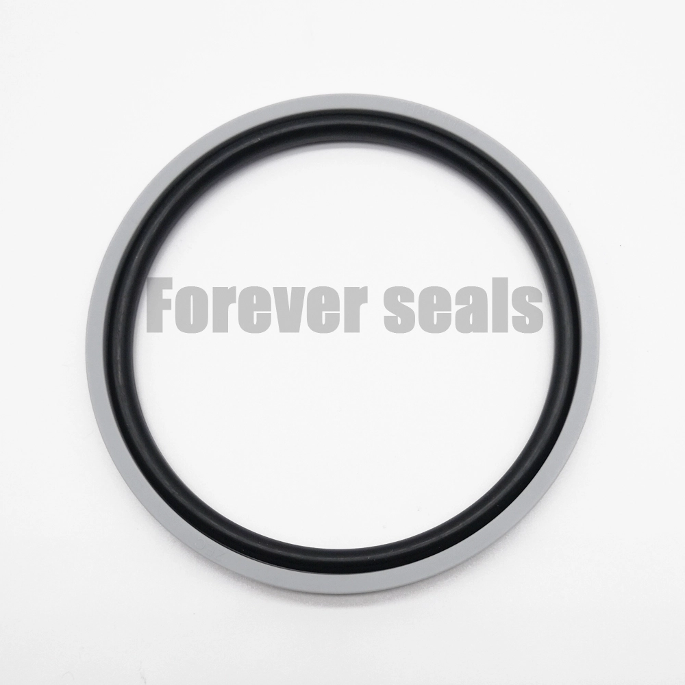 High - Quality and Durable SPGA Seals 1
