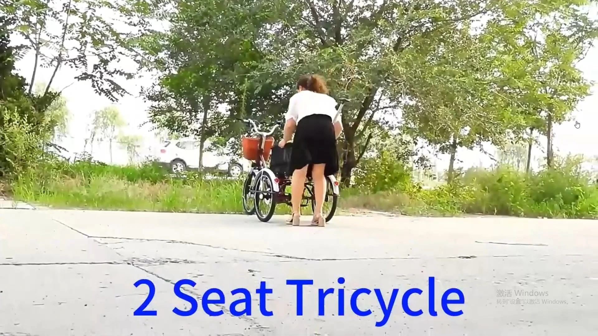 Aluminum-Fork Three-Wheeled Pedal Cargo Bike Elderly Bicycle for Leisure & Vegetable Shopping Manned Truck Style 1