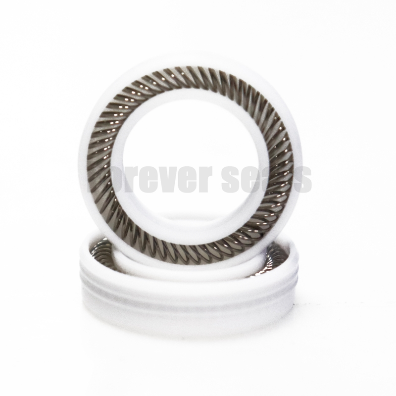 Premium PTFE - Based Spring Energized Seals 1