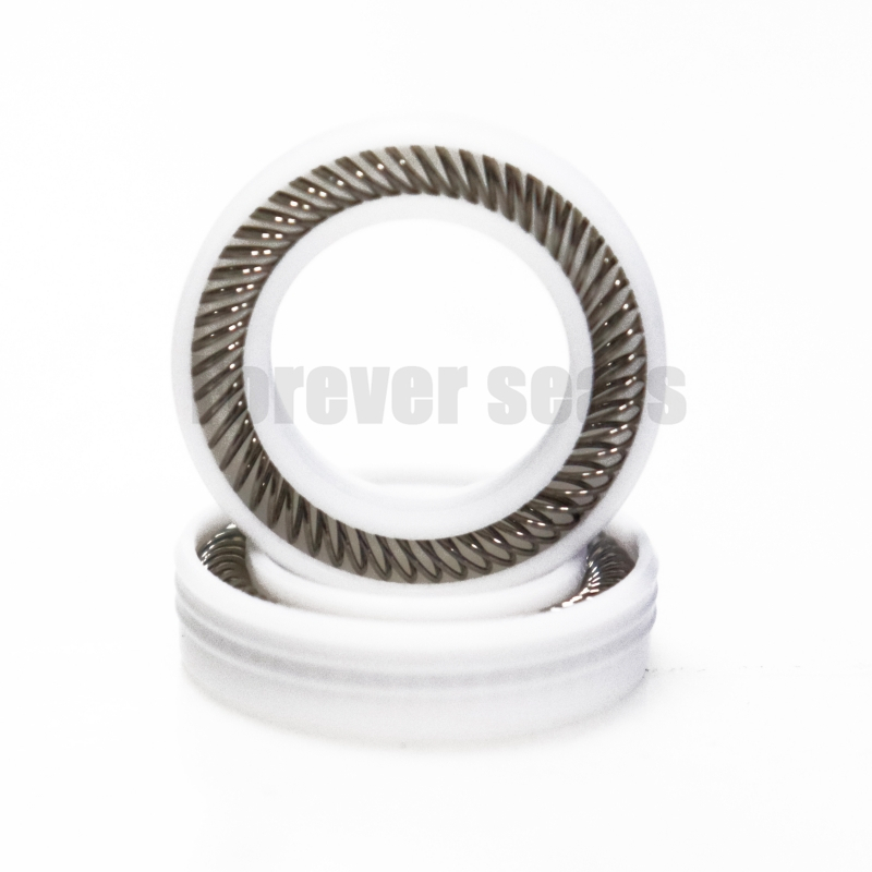 Premium PTFE - Based Spring Energized Seals 1