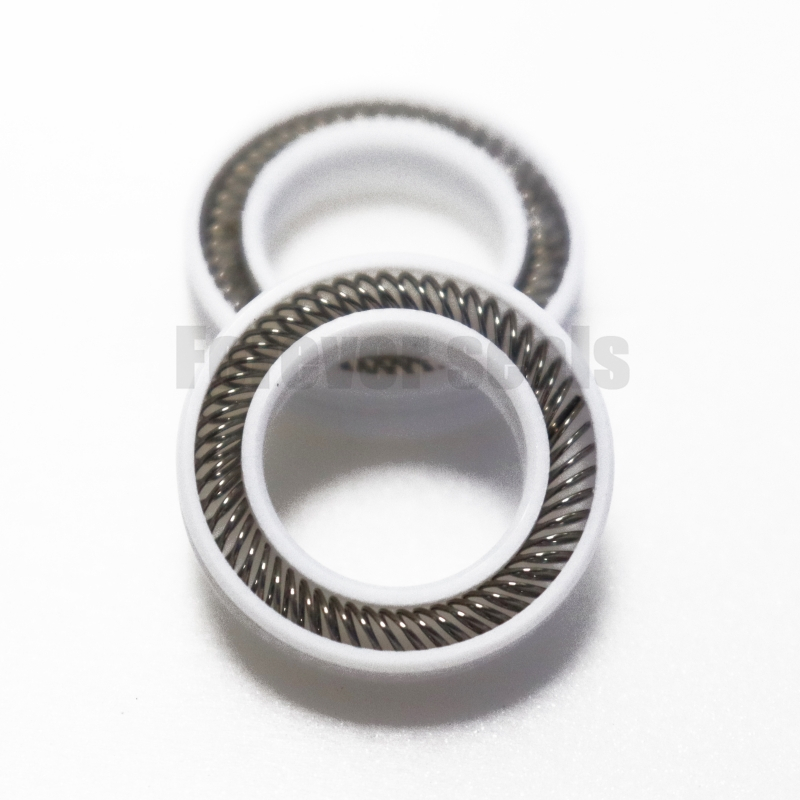 Premium PTFE - Based Spring Energized Seals 2