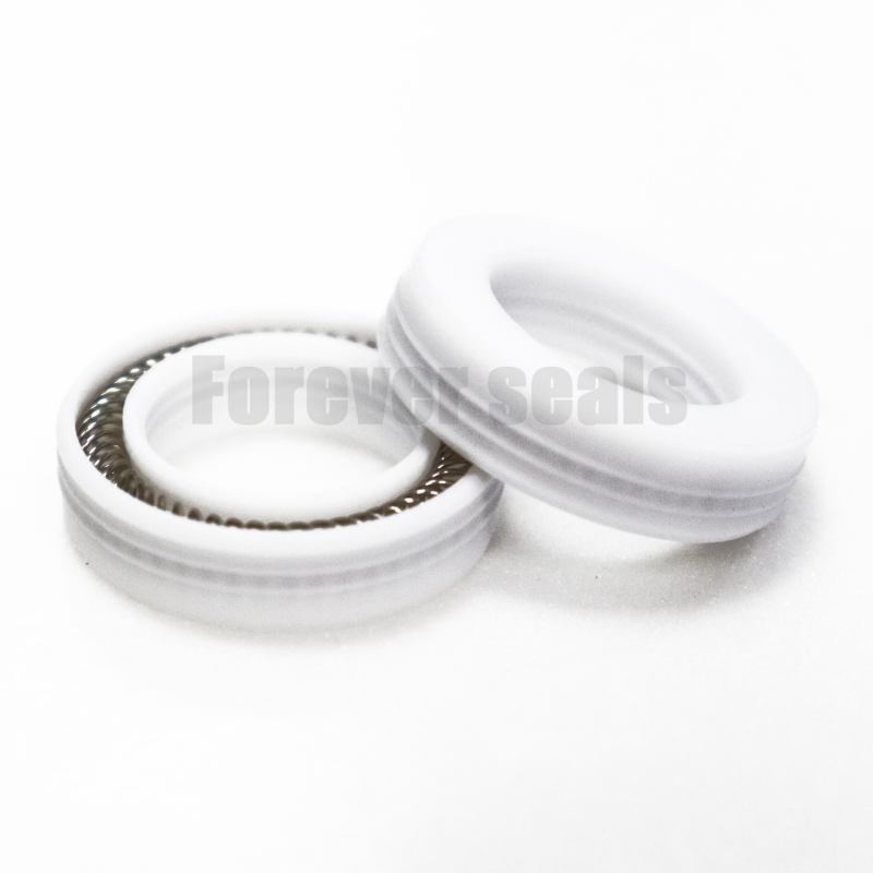 Premium PTFE - Based Spring Energized Seals 3