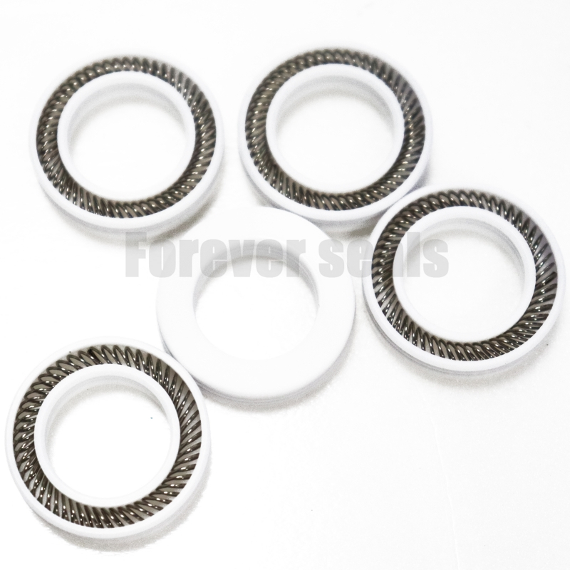 Premium PTFE - Based Spring Energized Seals 4
