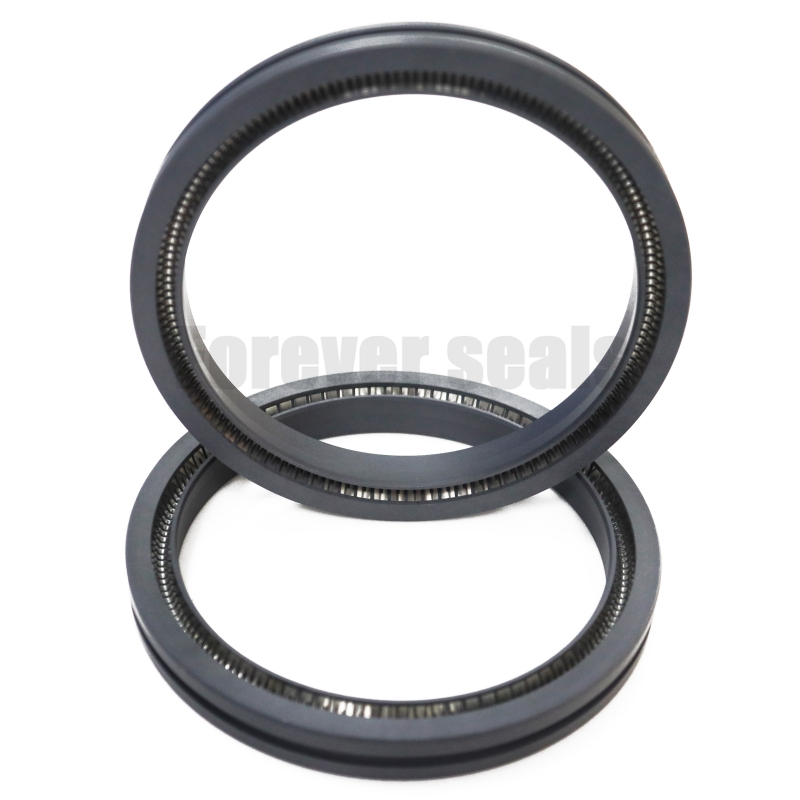 High - Speed Rotating Spring - Energized Seal 1