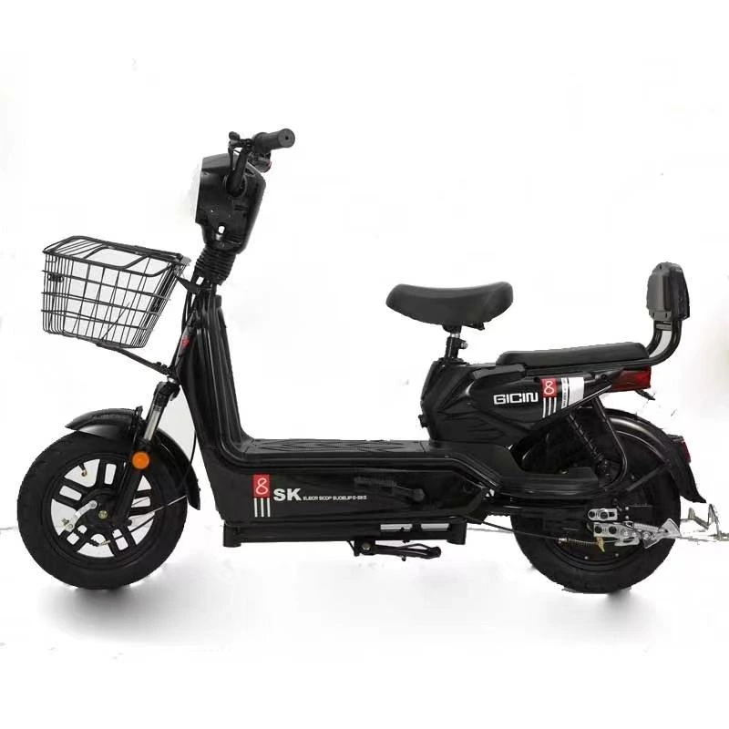 Hot Sale Whole Cheap Price350W City E-bike 48V 12 Ah Battery Cycle Electric Bicycle Electric Scooter for Adult 1