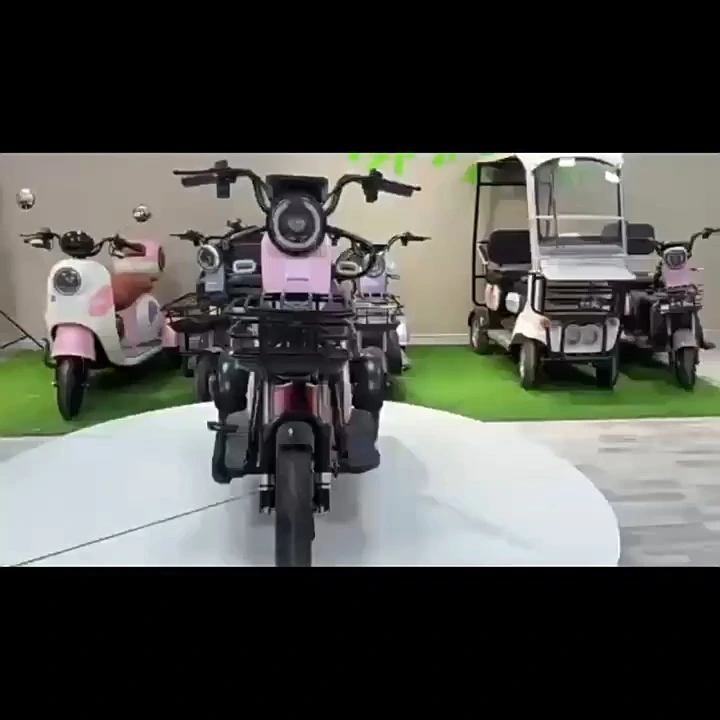 Hot Selling e-tricycle utility cargo etrike 3 wheel electric tricycle Farm Using electric tricycles 20*4.0 inch Fat Tire E-trike 1