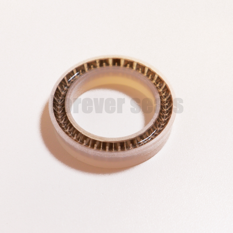 Transparent White UPE Material PTFE Spring Energized Seal 1